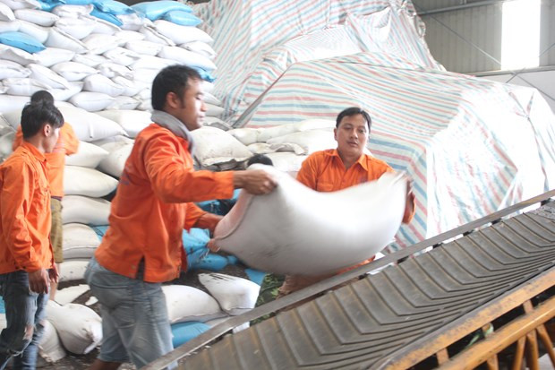 Les exportations progressent de plus de 4%, un bon signe de reprise ảnh 2 Les exportations progressent de plus de 4%, un bon signe de reprise ảnh 2