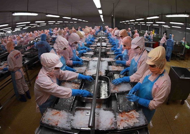 Le CEPA ouvre des opportunités d’exportation de produits clés vers les EAU ảnh 2 Le CEPA ouvre des opportunités d’exportation de produits clés vers les EAU ảnh 2