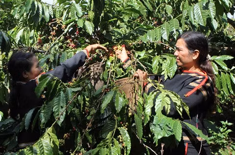 Têt 2017 : de nombreux circuits d’exception disponibles ảnh 1