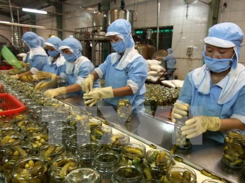 Vietnam et R. de Corée cherchent à augmenter le commerce bilatéral ảnh 1