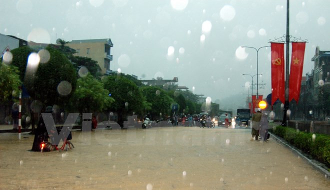 Les crues et pluies torrentielles font 15 morts à Quang Ninh ảnh 1 Les crues et pluies torrentielles font 15 morts à Quang Ninh ảnh 1