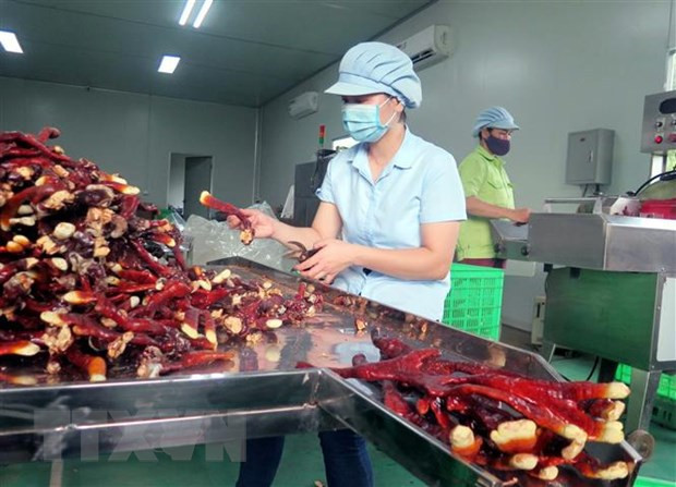 La visite à Singapour du président vietnamien portera les liens bilatéraux à une nouvelle hauteur ảnh 3 La visite à Singapour du président vietnamien portera les liens bilatéraux à une nouvelle hauteur ảnh 3