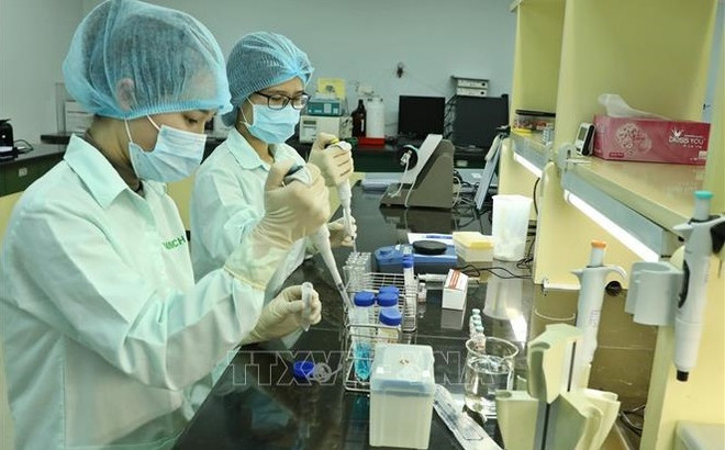 COVID-19: le Vietnam recevra la technologie basée sur l'ARN messager pour fabriquer des vaccins ảnh 1 COVID-19: le Vietnam recevra la technologie basée sur l'ARN messager pour fabriquer des vaccins ảnh 1