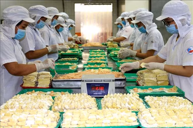 Vers un développement global et durable du marché du travail ảnh 2