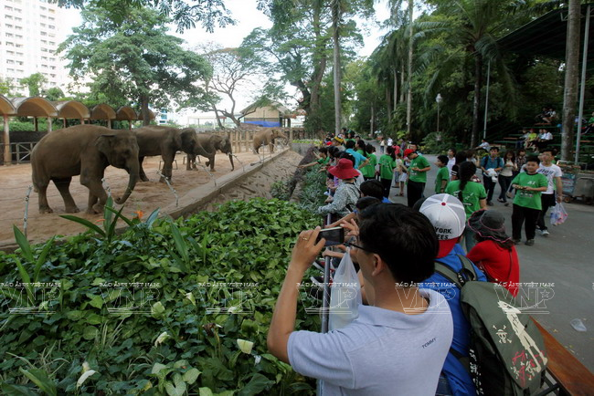 Le jardin zoologique et botanique de Saigon fête ses 150 ans ảnh 1 Le jardin zoologique et botanique de Saigon fête ses 150 ans ảnh 1