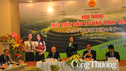La province de Yên Bai entend attirer les investisseurs japonais ảnh 1 La province de Yên Bai entend attirer les investisseurs japonais ảnh 1