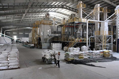 L’économie au centre des documents du XIIe Congrès national du PCV ảnh 2