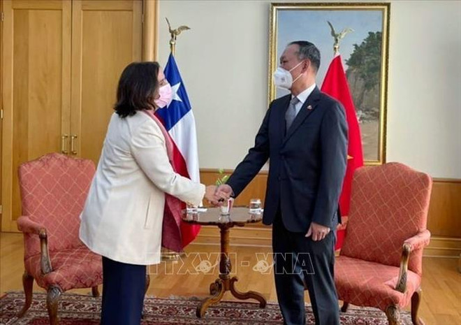 Le Vietnam, important partenaire du Chili en Asie du Sud-Est ảnh 1 Le Vietnam, important partenaire du Chili en Asie du Sud-Est ảnh 1