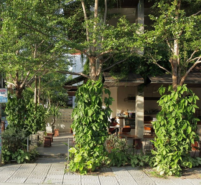 Un café vert à Hôi An apparaît sur le magazine américain Archdaily ảnh 1 Un café vert à Hôi An apparaît sur le magazine américain Archdaily ảnh 1