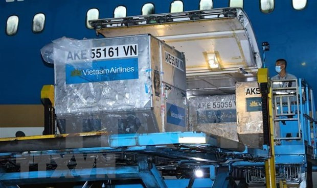 300 réfrigérateurs à vaccins soutenus par le Japon et l'UNICEF arrivent au Vietnam ảnh 1