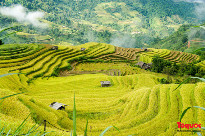 Le Vietnam parmi les destinations les plus impressionnantes ảnh 1