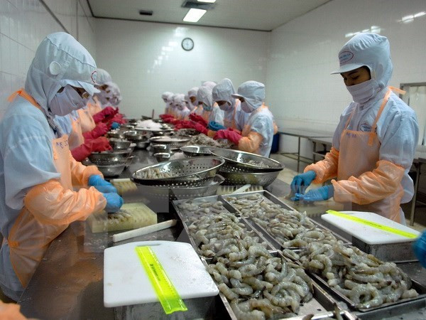 La filière crevetticole fixe l’objectif d’exportation de 4,2 milliards de dollars en 2019 ảnh 1 La filière crevetticole fixe l’objectif d’exportation de 4,2 milliards de dollars en 2019 ảnh 1