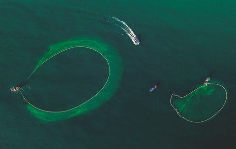 La beauté de la pêche aux anchois au Vietnam célébrée par le Daily Mail ảnh 1 La beauté de la pêche aux anchois au Vietnam célébrée par le Daily Mail ảnh 1
