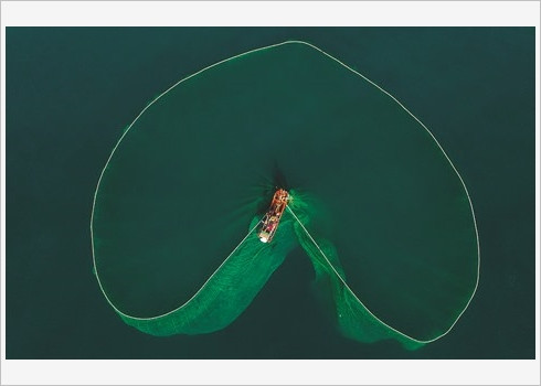 La beauté de la pêche aux anchois au Vietnam célébrée par le Daily Mail ảnh 3 La beauté de la pêche aux anchois au Vietnam célébrée par le Daily Mail ảnh 3