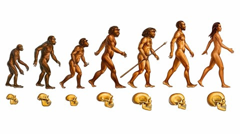 Un Vietnamien à la tête de l’Association pour les études asiatiques ảnh 2