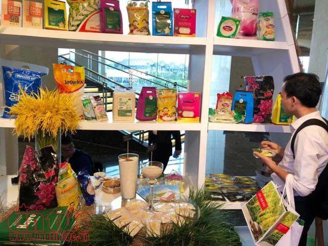 Des pistes pour doper les exportations de riz vietnamien ảnh 2 Des pistes pour doper les exportations de riz vietnamien ảnh 2