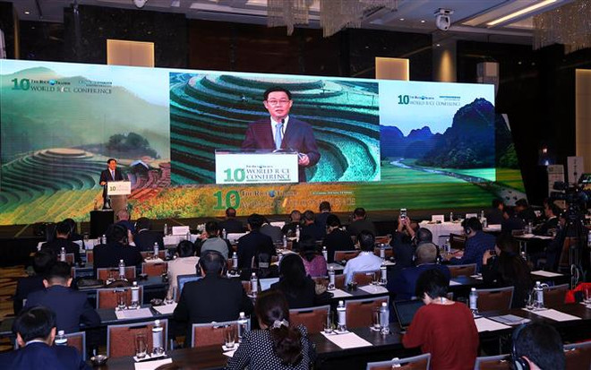 Le Vietnam, maillon de la chaîne de valeur mondiale, affirme le label de son riz ảnh 1 Le Vietnam, maillon de la chaîne de valeur mondiale, affirme le label de son riz ảnh 1