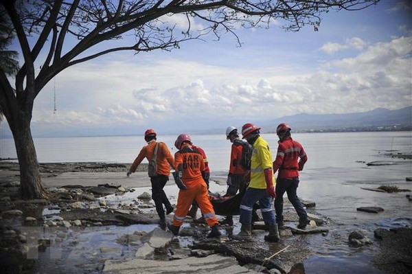 Indonésie : L’AHA au secours des victimes des séismes et du tsunami ảnh 1 Indonésie : L’AHA au secours des victimes des séismes et du tsunami ảnh 1