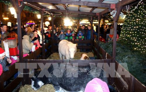 Le Vietnam participe activement à la foire de Noël à Prague ảnh 1 Le Vietnam participe activement à la foire de Noël à Prague ảnh 1