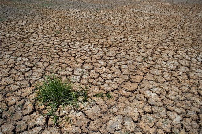 La Thaïlande renforce les aides aux agriculteurs touchés par la sécheresse ảnh 1 La Thaïlande renforce les aides aux agriculteurs touchés par la sécheresse ảnh 1