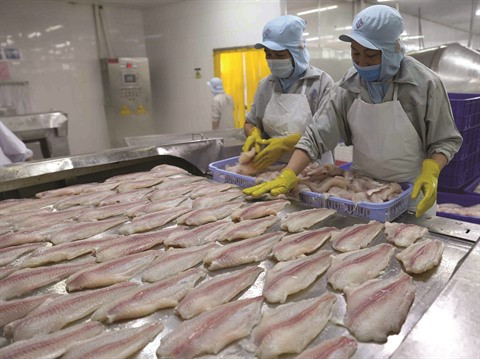 Les entreprises face aux challenges de l’EVFTA ảnh 2 Les entreprises face aux challenges de l’EVFTA ảnh 2