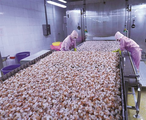 Coronavirus : les entreprises exportatrices sous forte pression ảnh 2 Coronavirus : les entreprises exportatrices sous forte pression ảnh 2