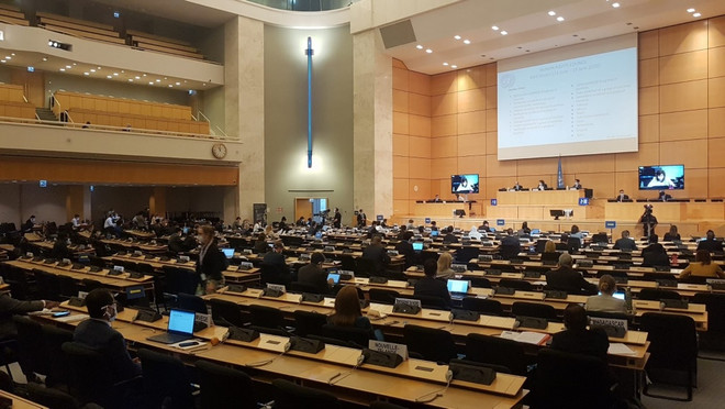 Le Vietnam participe à la 43e session du Conseil des droits de l'homme des Nations Unies ảnh 1 Le Vietnam participe à la 43e session du Conseil des droits de l'homme des Nations Unies ảnh 1