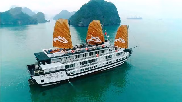 Lancement des bateaux de croisière Paradise Sails sur la baie d'Ha Long ảnh 1
