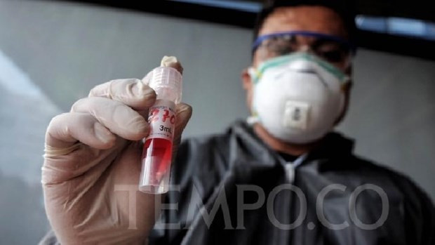 L’Indonésie commence à produire les kits de test rapide de dépistage du COVID-19 ảnh 1 L’Indonésie commence à produire les kits de test rapide de dépistage du COVID-19 ảnh 1