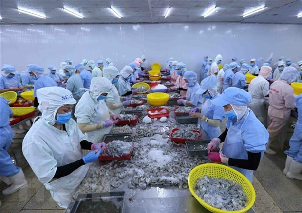 Les exportations de crevettes devraient atteindre 3,8 milliards de dollars en 2020 ảnh 1 Les exportations de crevettes devraient atteindre 3,8 milliards de dollars en 2020 ảnh 1