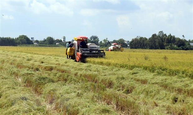 Le PM accepte la conversion des terres agricoles à Vinh Long et Kien Giang ảnh 1 Le PM accepte la conversion des terres agricoles à Vinh Long et Kien Giang ảnh 1