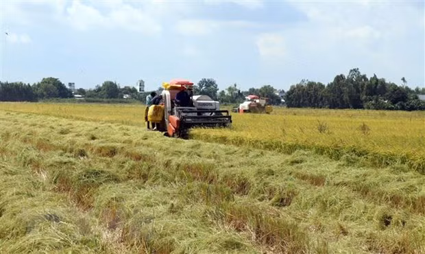 Le PM accepte la conversion des terres agricoles à Vinh Long et Kien Giang ảnh 1