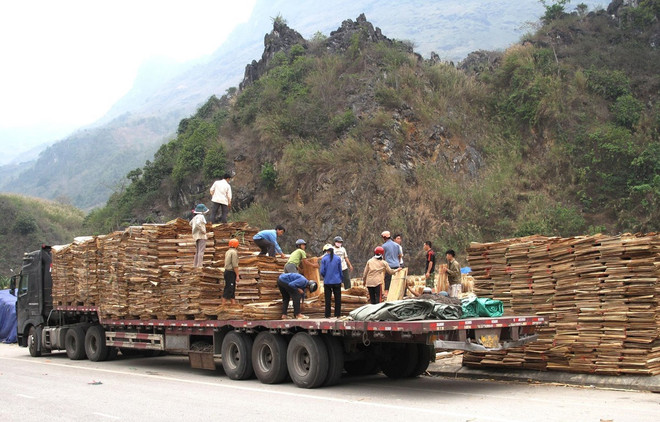 COVID-19: premiers lots d'exportation autorisés à la porte frontalière de Thanh Thuy ảnh 1 COVID-19: premiers lots d'exportation autorisés à la porte frontalière de Thanh Thuy ảnh 1