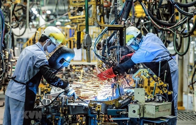 La presse égyptienne apprécie les réalisations socioéconomiques du Vietnam ảnh 1 La presse égyptienne apprécie les réalisations socioéconomiques du Vietnam ảnh 1