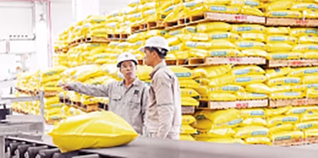 L'industrie des engrais doit profiter des opportunités du libre-échange avec l’UE ảnh 1