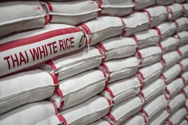 Thaïlande : les exportations de riz en 2020 devraient atteindre leur plus bas niveau en 20 ans ảnh 1 Thaïlande : les exportations de riz en 2020 devraient atteindre leur plus bas niveau en 20 ans ảnh 1