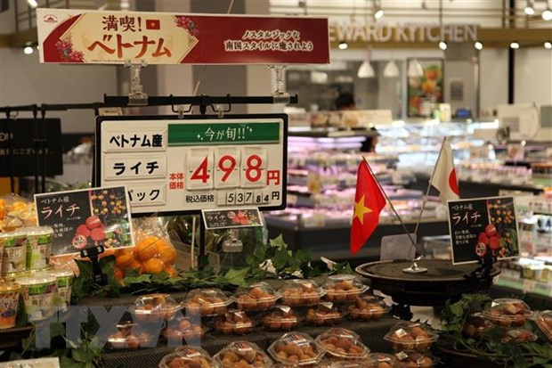 Des produits vietnamiens présentés dans les supermarchés AEON au Japon ảnh 1 Des produits vietnamiens présentés dans les supermarchés AEON au Japon ảnh 1