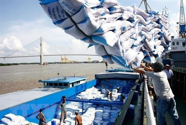 Solutions pour gérer les exportations de riz ảnh 1 Solutions pour gérer les exportations de riz ảnh 1