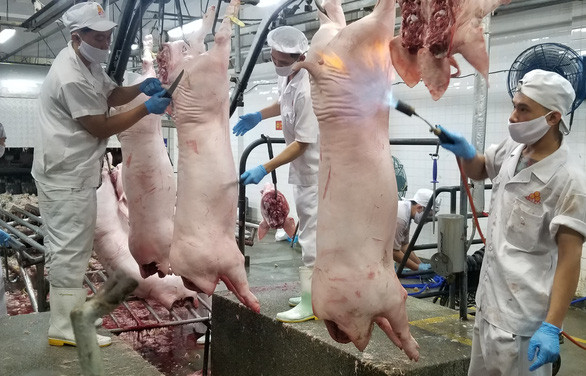 Dong Nai annonce la fin de la peste porcine africaine ảnh 1 Dong Nai annonce la fin de la peste porcine africaine ảnh 1