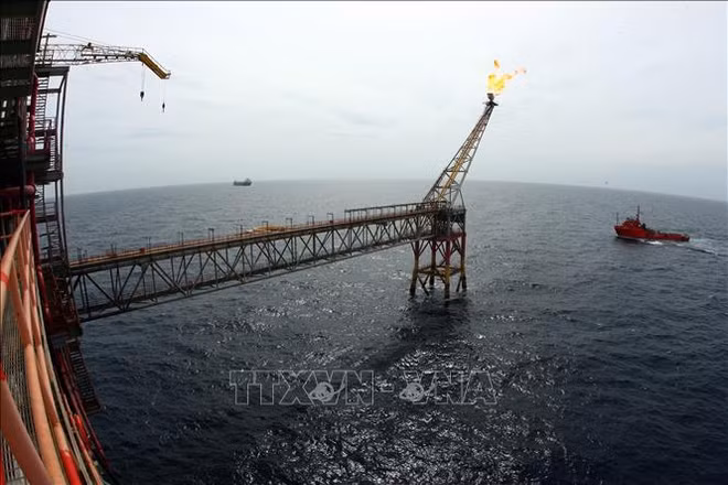 Vietsovpetro met à flot la base d’une plate-forme pétrolière du gisement de Bach Ho ảnh 1