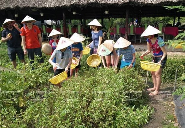 Ho Chi Minh-Ville lance sept programmes de tourisme écologique et agricole ảnh 1