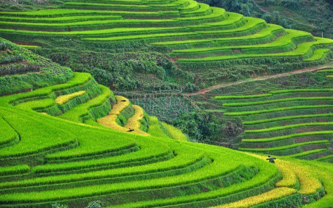 Sa Pa et Ninh Binh dans le top des destinations les plus attrayantes en Asie ảnh 1 Sa Pa et Ninh Binh dans le top des destinations les plus attrayantes en Asie ảnh 1