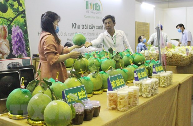 Fruits et légumes : ouverture de l’exposition internationale HortEx Vietnam 2020 ảnh 1