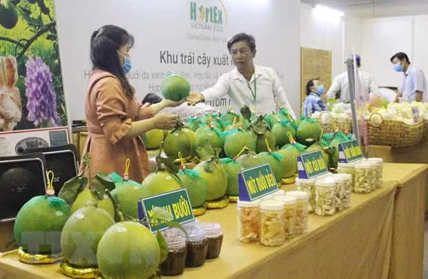Fruits et légumes : ouverture de l’exposition internationale HortEx Vietnam 2020 ảnh 1 Fruits et légumes : ouverture de l’exposition internationale HortEx Vietnam 2020 ảnh 1