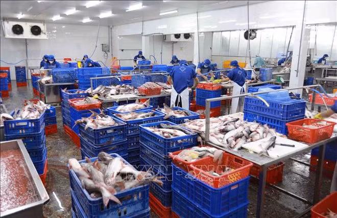 Excédent commercial au cours des 10 premiers mois de l’année ảnh 2 Excédent commercial au cours des 10 premiers mois de l’année ảnh 2