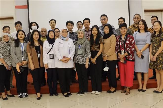 Développement des relations Vietnam-Indonésie ảnh 1