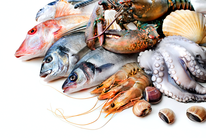 Hausse de 74,32 % des exportations de produits aquatiques vers la Belgique ảnh 1 Hausse de 74,32 % des exportations de produits aquatiques vers la Belgique ảnh 1