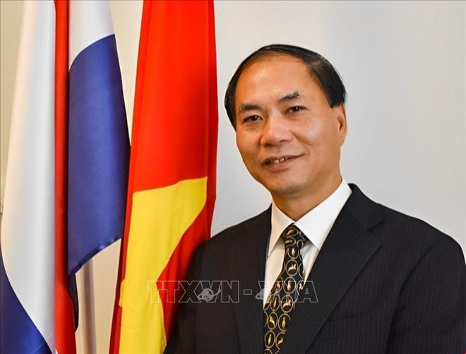 Renforcement des relations entre le Vietnam et les Pays-Bas ảnh 1