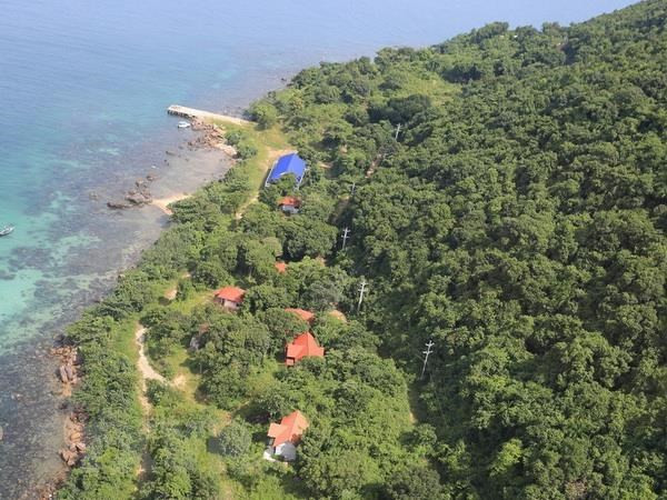 Gestion et protection durables des forêts sur l'île de Phu Quoc ảnh 2