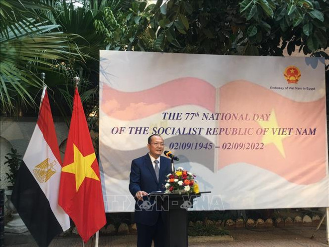 Activités pour la Fête nationale à Cuba, au Venezuela et en Egypte ảnh 2